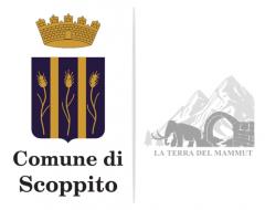 Stemma bianco